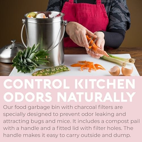 Person using food garbage bin with charcoal filters in kitchen.